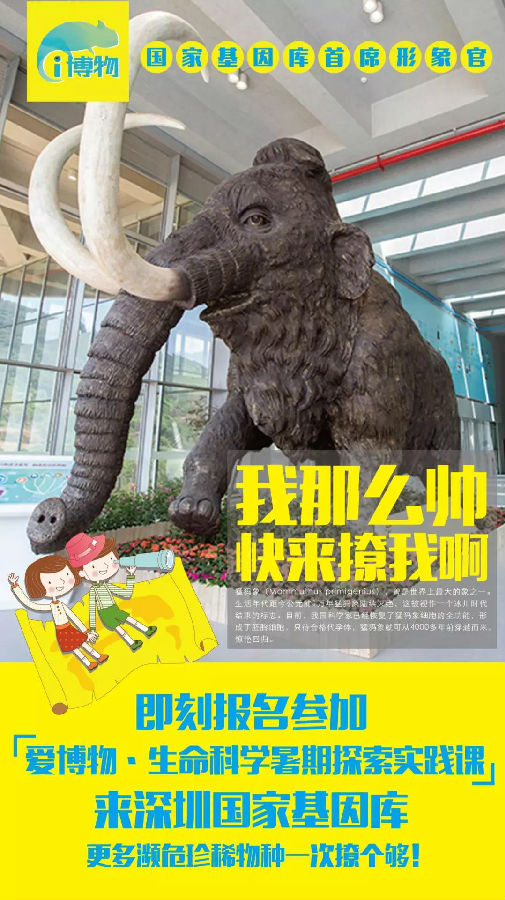 广西物业服务