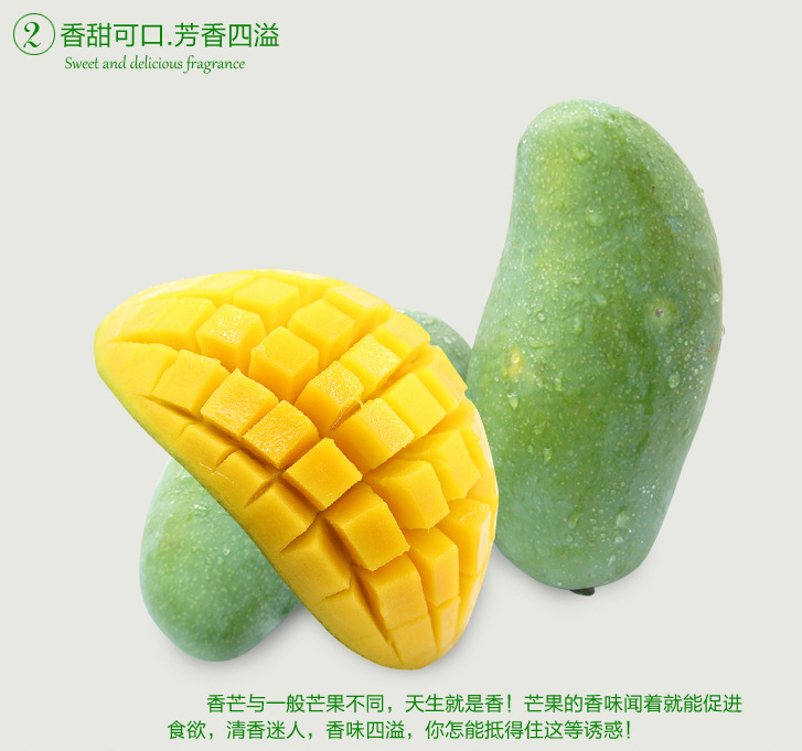 1571378981128781.jpg 1571378981128781.jpg