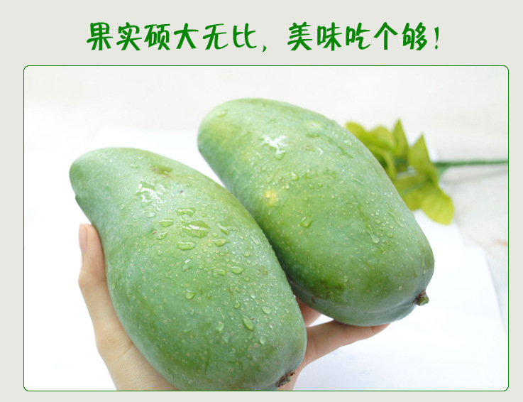 1571379024205208.jpg 1571379024205208.jpg