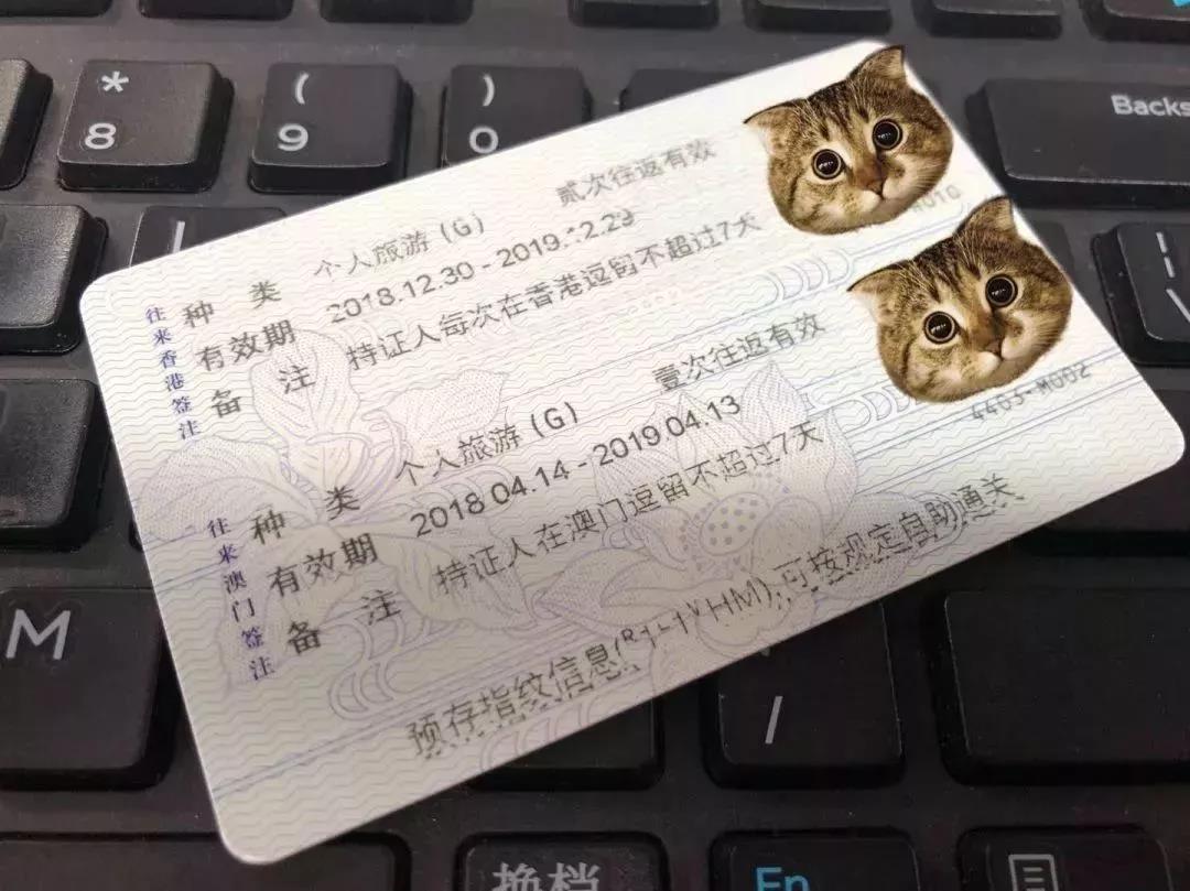 1574319348202237.jpg 1574319348202237.jpg