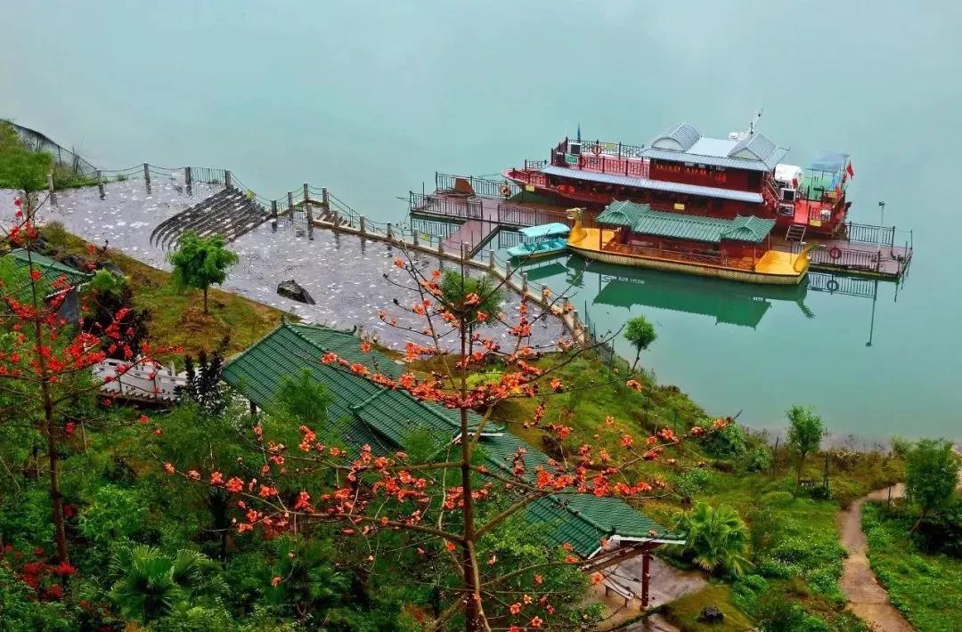 1574409535161936.jpg 1574409535161936.jpg