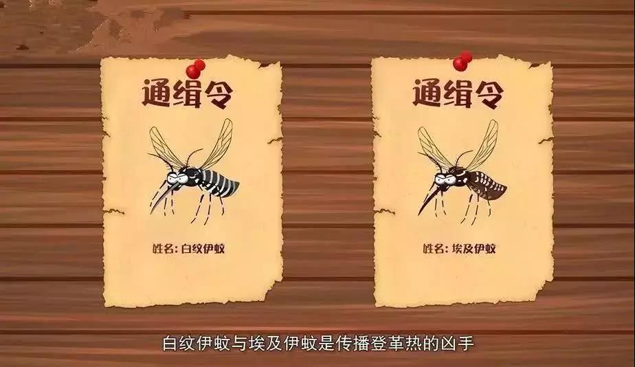 1574649800113790.jpg 1574649800113790.jpg