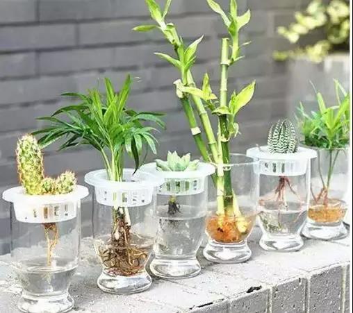 1574649867171877.jpg 微信图片_20191125101621.jpg